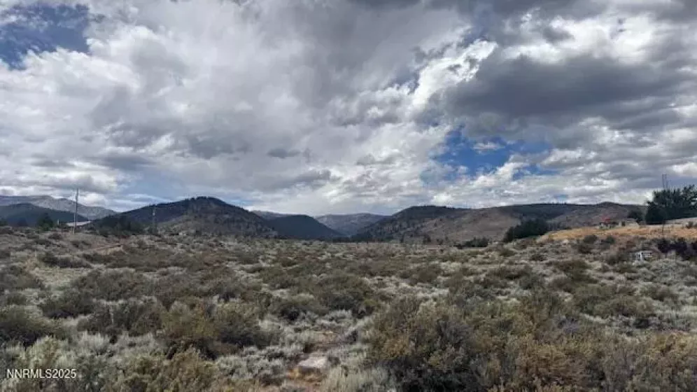 0 Mountain Daisy Rd, Reno, Nevada 89511, ,Land,Residential,Mountain Daisy Rd,250053932
