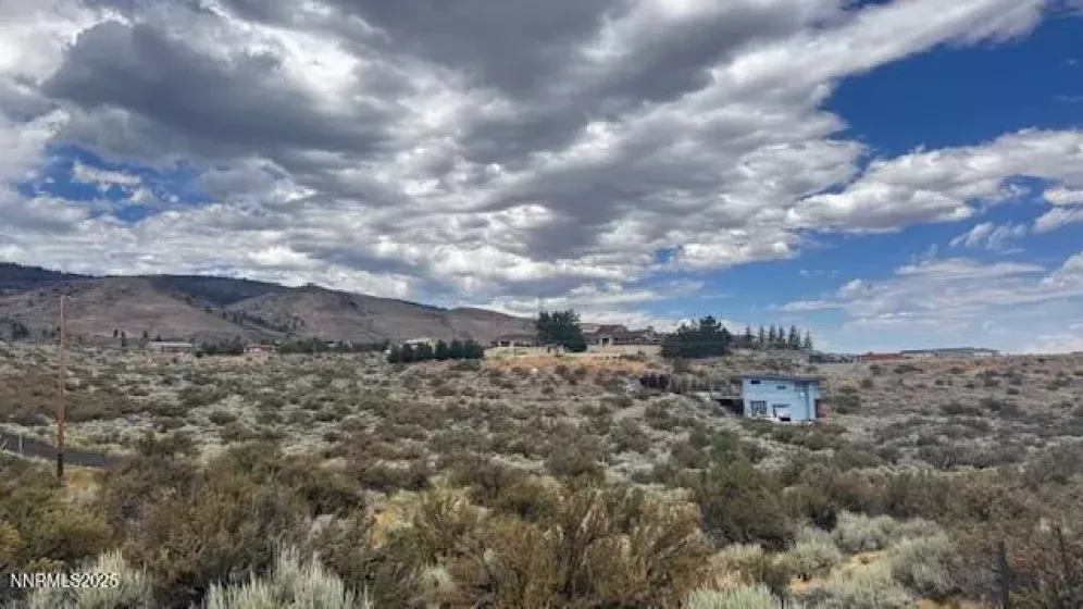 0 Mountain Daisy Rd, Reno, Nevada 89511, ,Land,Residential,Mountain Daisy Rd,250053932