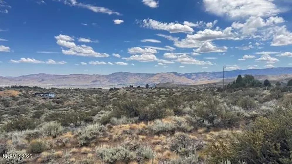 0 Mountain Daisy Rd, Reno, Nevada 89511, ,Land,Residential,Mountain Daisy Rd,250053932