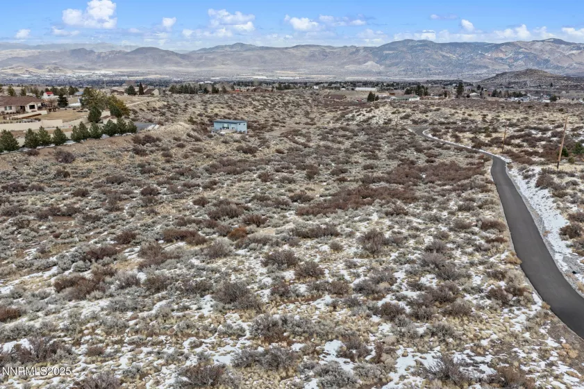 0 Mountain Daisy Rd, Reno, Nevada 89511, ,Land,Residential,Mountain Daisy Rd,250053932