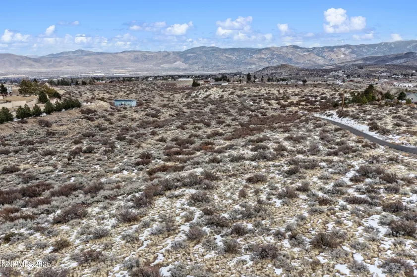 0 Mountain Daisy Rd, Reno, Nevada 89511, ,Land,Residential,Mountain Daisy Rd,250053932
