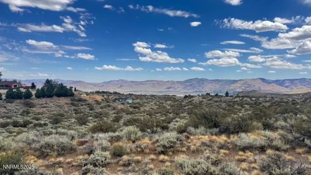0 Mountain Daisy Rd, Reno, Nevada 89511, ,Land,Residential,Mountain Daisy Rd,250053932