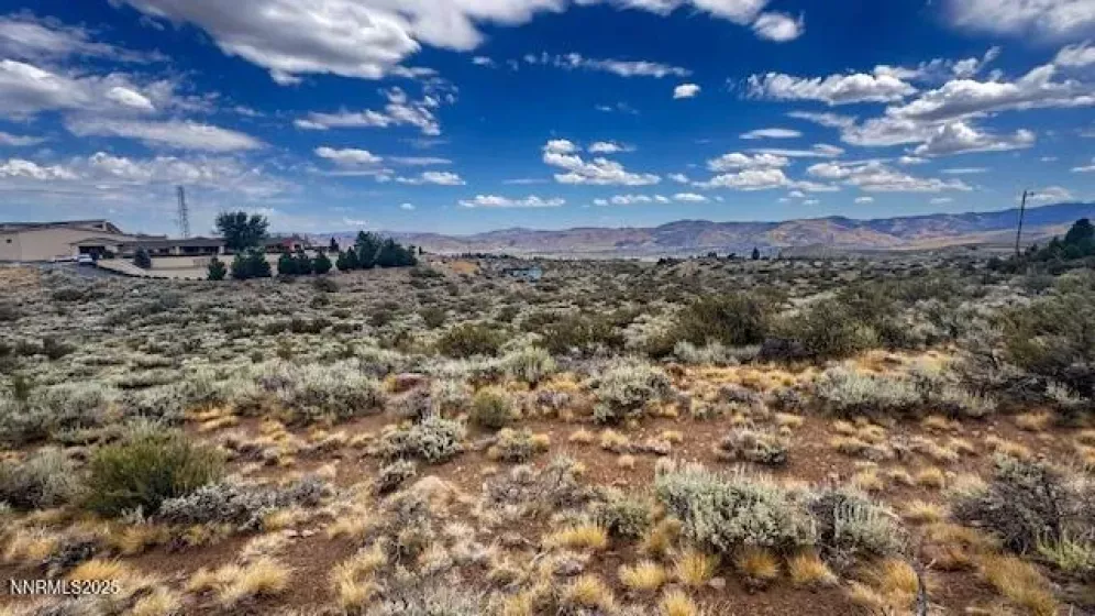 0 Mountain Daisy Rd, Reno, Nevada 89511, ,Land,Residential,Mountain Daisy Rd,250053932