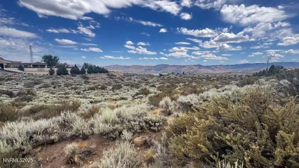 0 Mountain Daisy Rd, Reno, Nevada 89511, ,Land,Residential,Mountain Daisy Rd,250053932