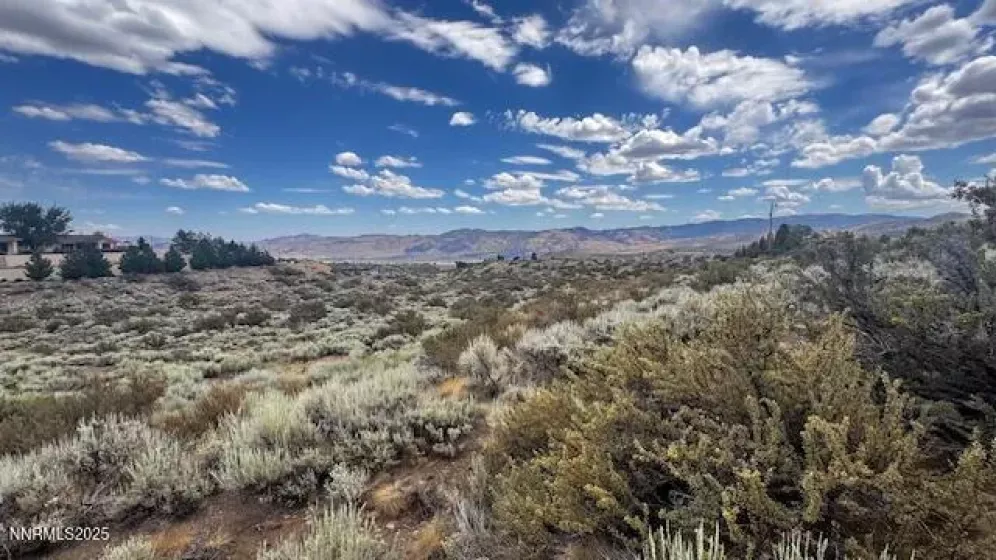 0 Mountain Daisy Rd, Reno, Nevada 89511, ,Land,Residential,Mountain Daisy Rd,250053932