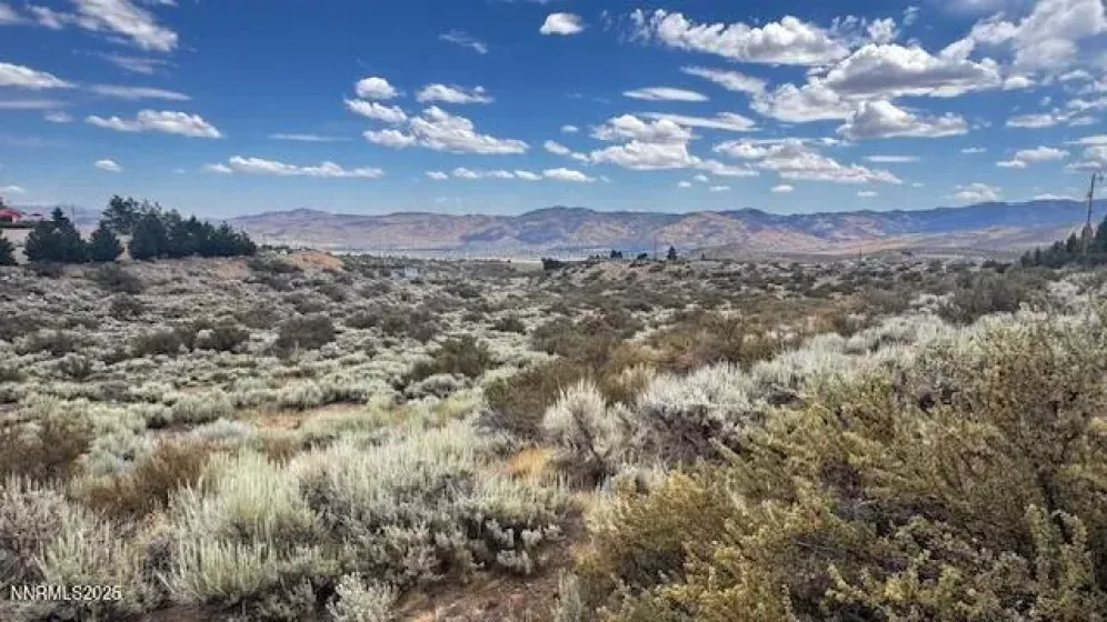 0 Mountain Daisy Rd, Reno, Nevada 89511, ,Land,Residential,Mountain Daisy Rd,250053932