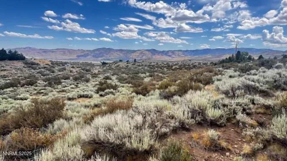 0 Mountain Daisy Rd, Reno, Nevada 89511, ,Land,Residential,Mountain Daisy Rd,250053932