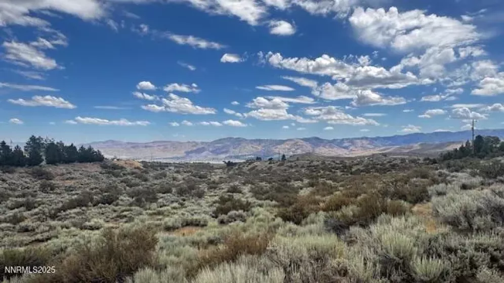 0 Mountain Daisy Rd, Reno, Nevada 89511, ,Land,Residential,Mountain Daisy Rd,250053932