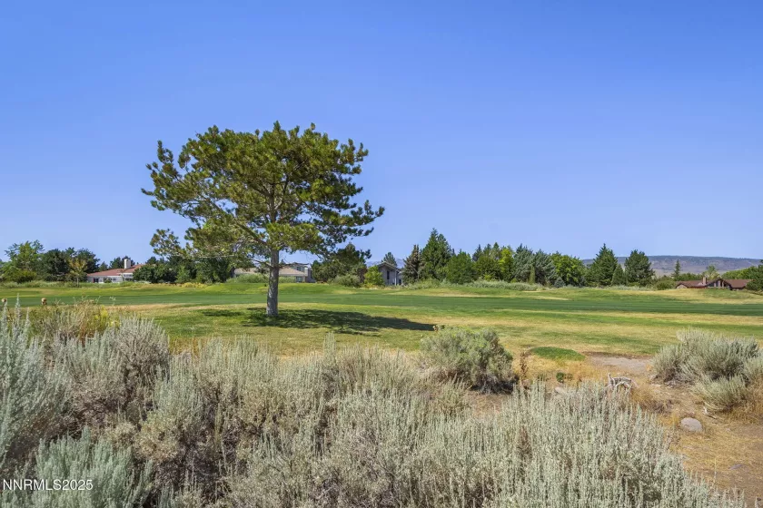 362 Wolf Run Ct., Reno, Nevada 89511, 4 Bedrooms Bedrooms, ,4 BathroomsBathrooms,Residential,Residential,Wolf Run Ct.,250053941
