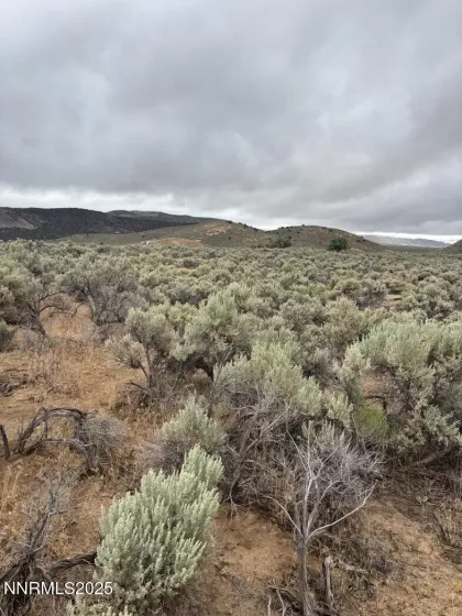 0 Dixie, Reno, Nevada 89508, ,Land,Residential,Dixie,250053955