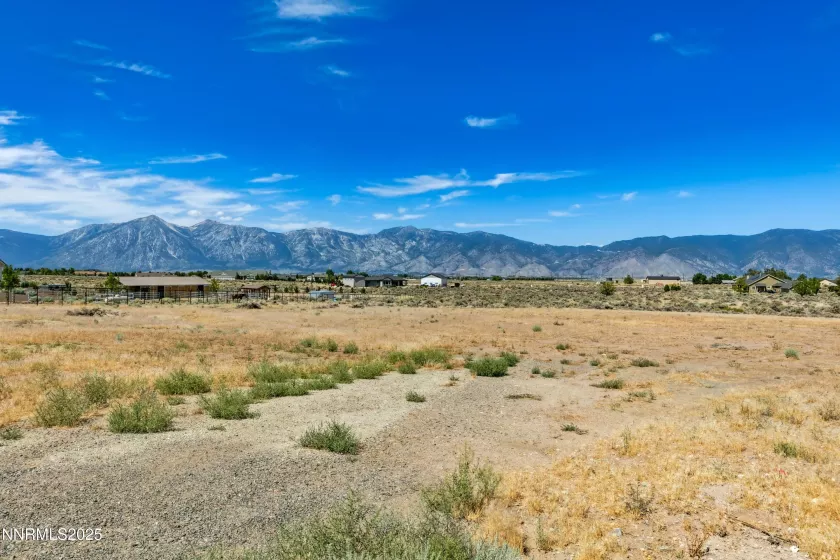 1770 Coyote, Minden, Nevada 89423, ,Land,Residential,Coyote,250053956
