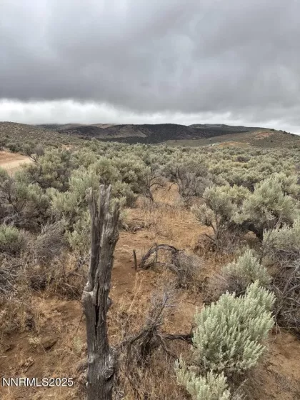 0 Dixie, Reno, Nevada 89508, ,Land,Residential,Dixie,250053957