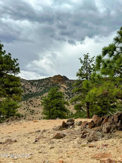 0 Geiger Grade, Reno, Nevada 89521, ,Land,Residential,Geiger Grade,250053963