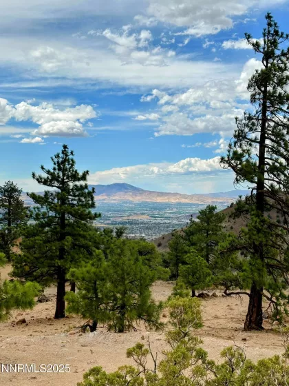 0 Geiger Grade, Reno, Nevada 89521, ,Land,Residential,Geiger Grade,250053963