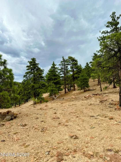 0 Geiger Grade, Reno, Nevada 89521, ,Land,Residential,Geiger Grade,250053963