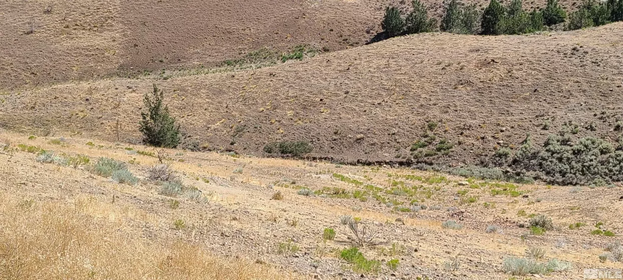 3805 Cashill, Reno, Nevada 89509, ,Land,Residential,Cashill,230009330