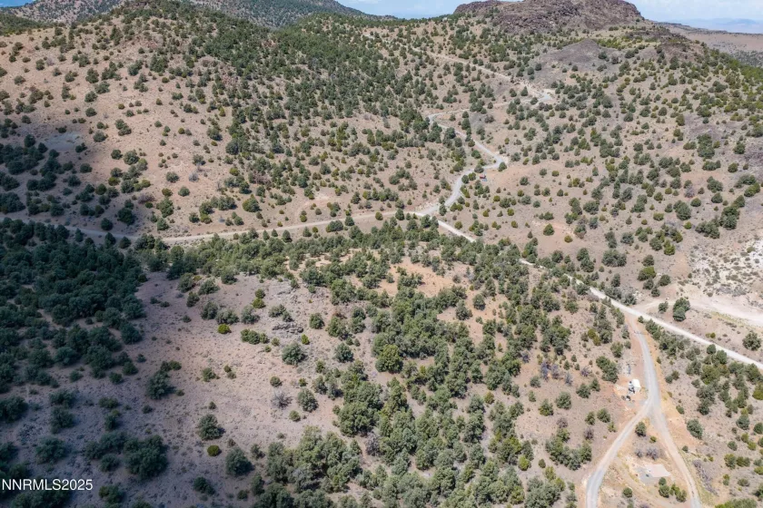 2410 Wild Rose, Reno, Nevada 89521, ,Land,Residential,Wild Rose,250053969