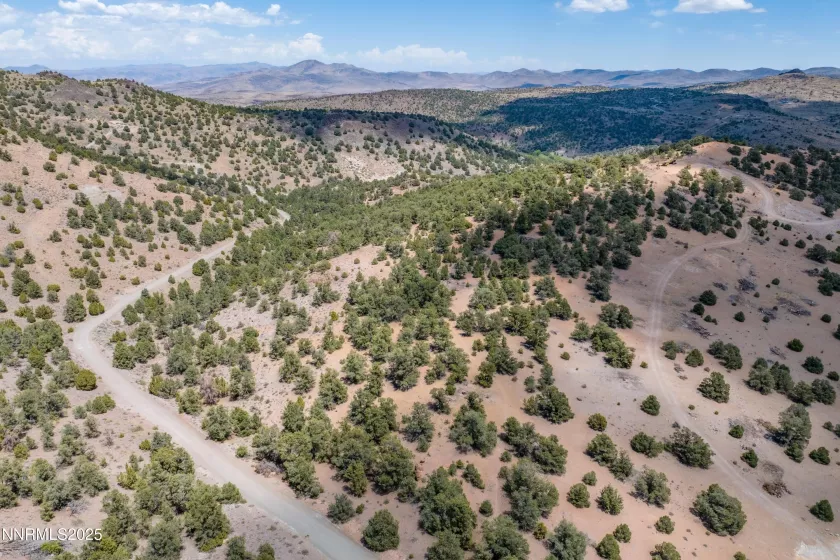 2410 Wild Rose, Reno, Nevada 89521, ,Land,Residential,Wild Rose,250053969