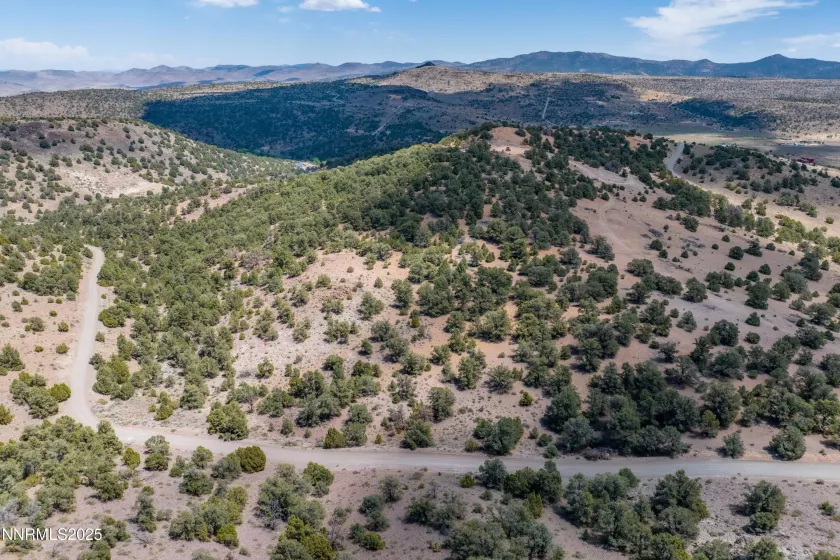 2410 Wild Rose, Reno, Nevada 89521, ,Land,Residential,Wild Rose,250053969