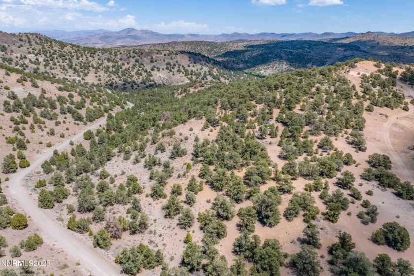 2410 Wild Rose, Reno, Nevada 89521, ,Land,Residential,Wild Rose,250053969