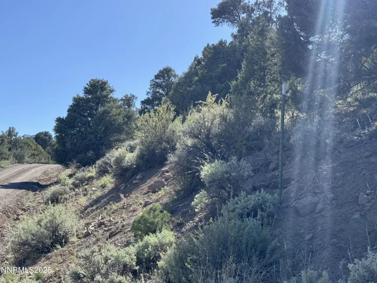 2410 Wild Rose, Reno, Nevada 89521, ,Land,Residential,Wild Rose,250053969