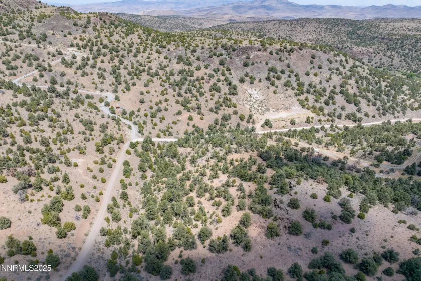2410 Wild Rose, Reno, Nevada 89521, ,Land,Residential,Wild Rose,250053969