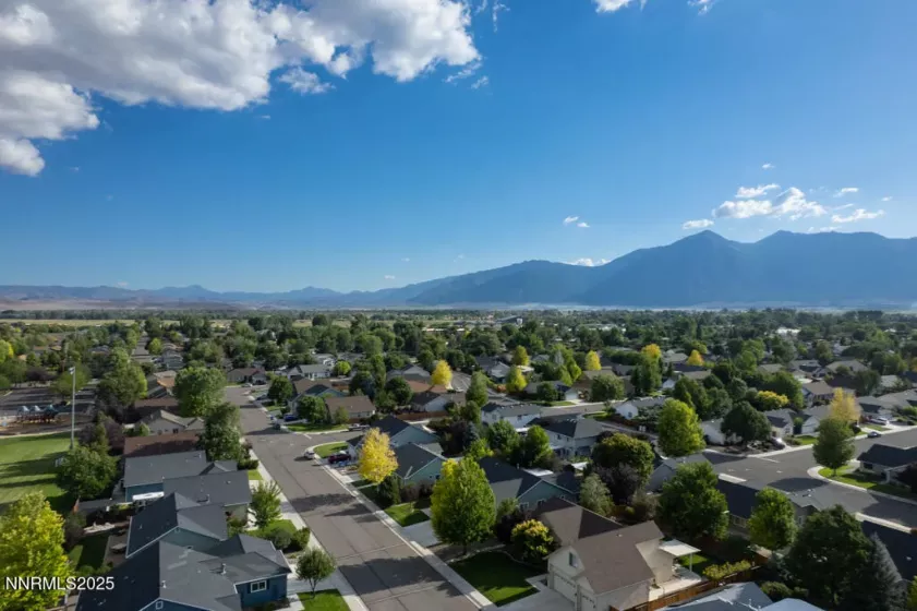 1459 Cardiff, Gardnerville, Nevada 89410, 3 Bedrooms Bedrooms, ,2 BathroomsBathrooms,Residential,Residential,Cardiff,250053987