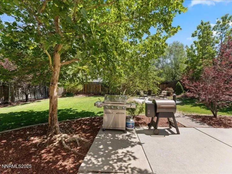 9542 Angel Falls, Reno, Nevada 89506, 4 Bedrooms Bedrooms, ,3 BathroomsBathrooms,Residential,Residential,Angel Falls,250053989