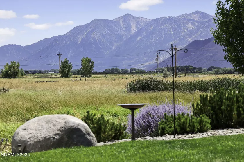 Front Yard Sierra Mountain & Wetlands View