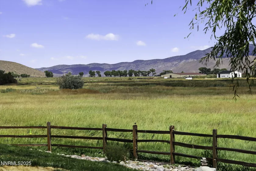 Wetlands View