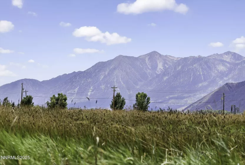 Wetlands & Sierra Mountain View