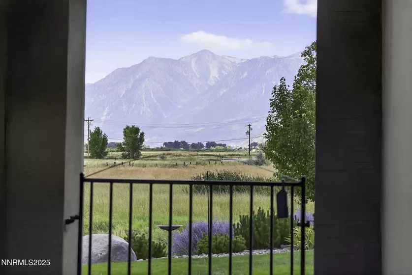 Exterior Backyard View