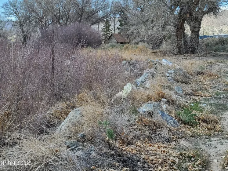 7 Margaroli, Yerington, Nevada 89447, ,Land,Residential,Margaroli,250054001