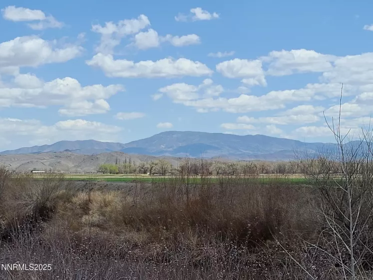 7 Margaroli, Yerington, Nevada 89447, ,Land,Residential,Margaroli,250054001