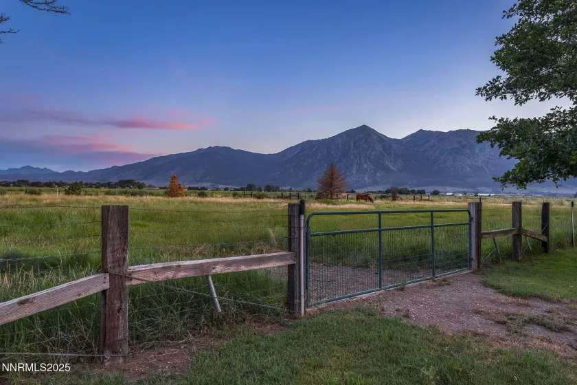 1141 Waterloo, Gardnerville, Nevada 89460, 6 Bedrooms Bedrooms, ,8 BathroomsBathrooms,Residential,Residential,Waterloo,250054002