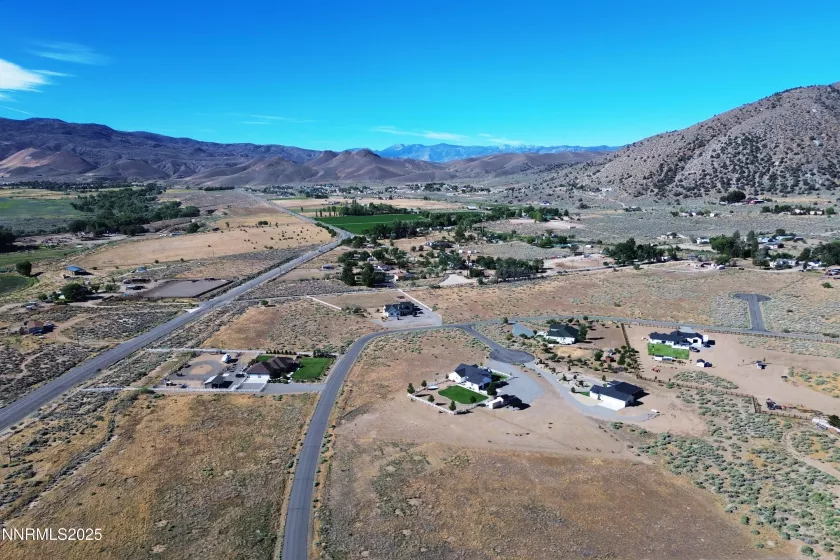 331 Angelina, Smith Valley, Nevada 89444, ,Land,Residential,Angelina,250054052