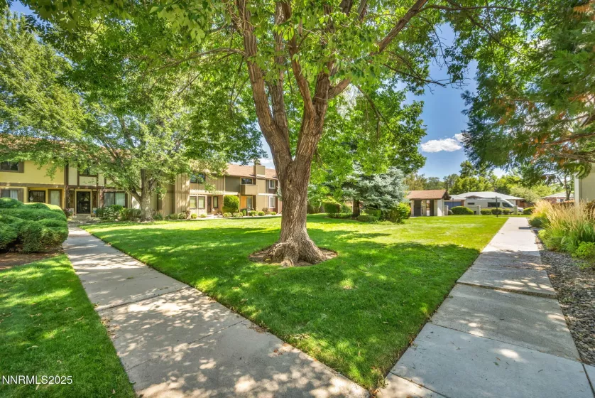 1481 Foster, Reno, Nevada 89509, 3 Bedrooms Bedrooms, ,3 BathroomsBathrooms,Residential,Residential,Foster,250054065