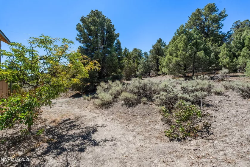 21615 Dortort, Reno, Nevada 89521, 3 Bedrooms Bedrooms, ,3 BathroomsBathrooms,Residential,Residential,Dortort,250054096