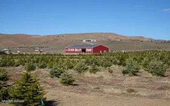 3995 Bacon Rind, Reno, Nevada 89510, ,Land,Residential,Bacon Rind,250054105