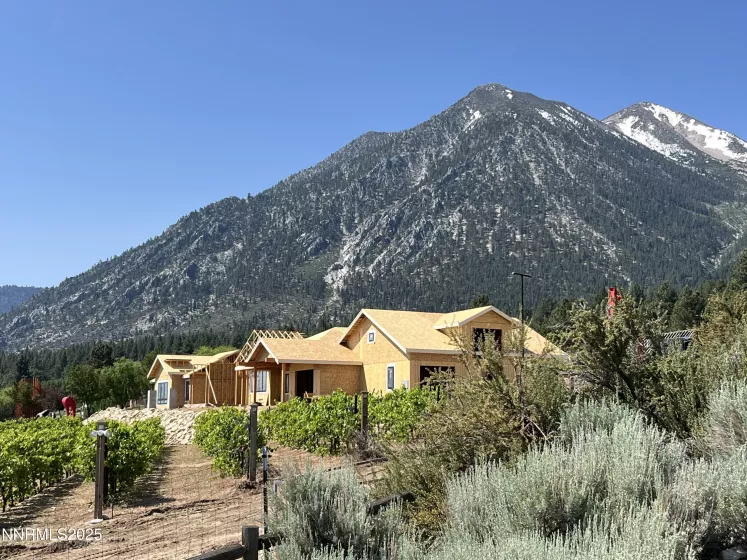 301 Five Creek, Gardnerville, Nevada 89460, 3 Bedrooms Bedrooms, ,5 BathroomsBathrooms,Residential,Residential,Five Creek,250054120