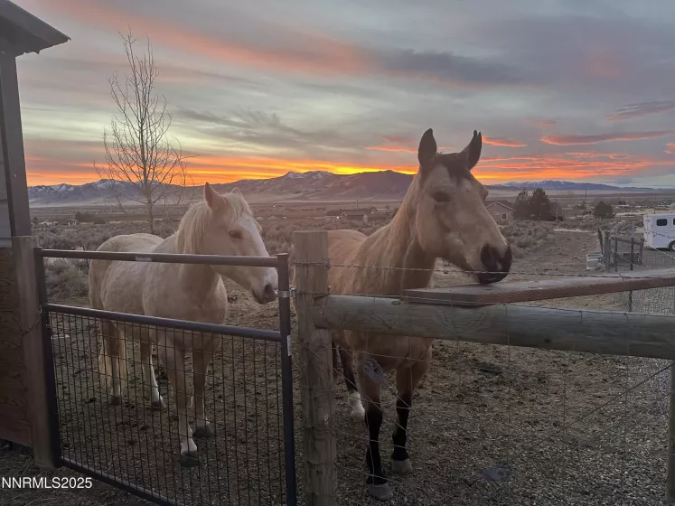 9835 Sabin, Winnemucca, Nevada 89445, 4 Bedrooms Bedrooms, ,2 BathroomsBathrooms,Residential,Residential,Sabin,250054137