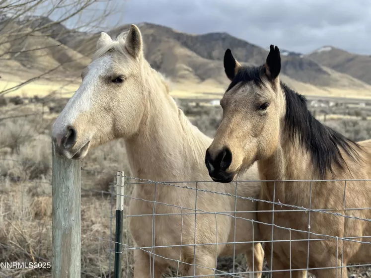 9835 Sabin, Winnemucca, Nevada 89445, 4 Bedrooms Bedrooms, ,2 BathroomsBathrooms,Residential,Residential,Sabin,250054137