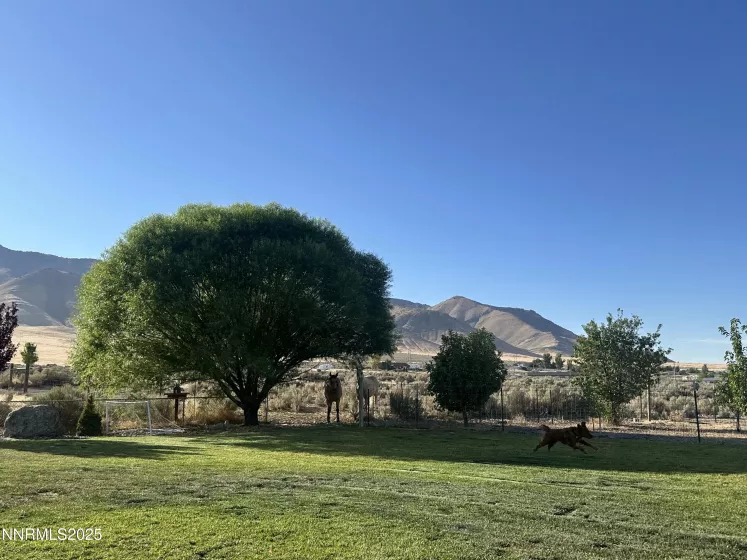 9835 Sabin, Winnemucca, Nevada 89445, 4 Bedrooms Bedrooms, ,2 BathroomsBathrooms,Residential,Residential,Sabin,250054137