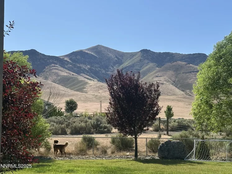 9835 Sabin, Winnemucca, Nevada 89445, 4 Bedrooms Bedrooms, ,2 BathroomsBathrooms,Residential,Residential,Sabin,250054137