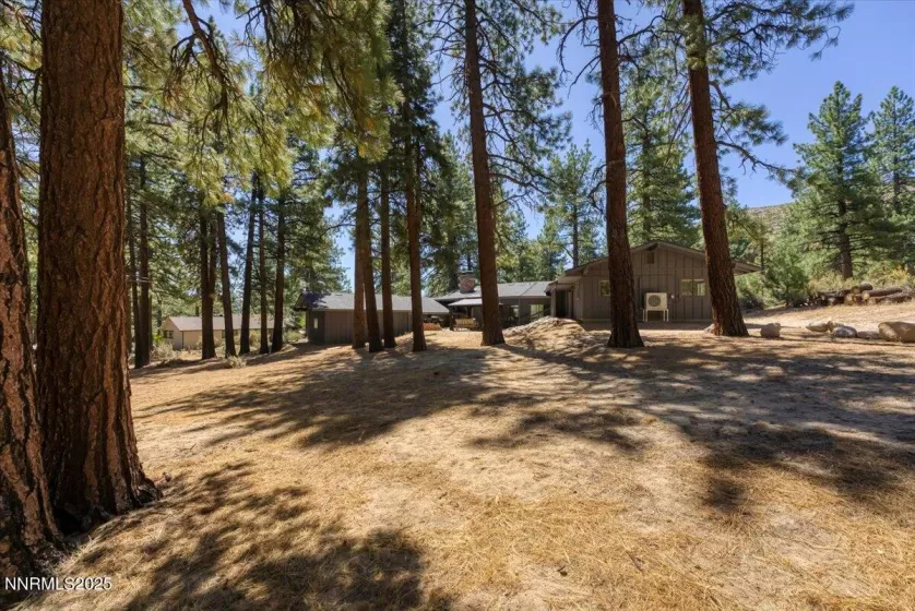 4200 Meadow Wood, Carson City, Nevada 89703, 4 Bedrooms Bedrooms, ,4 BathroomsBathrooms,Residential,Residential,Meadow Wood,250054154