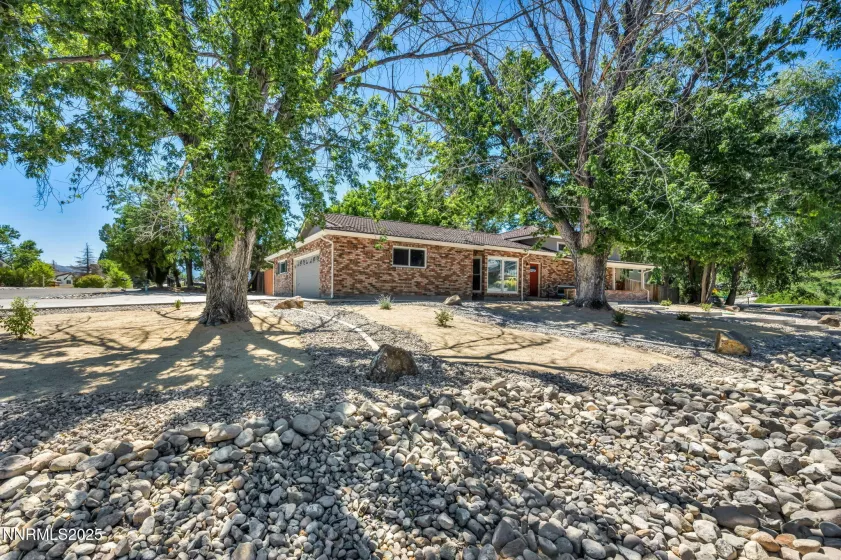 Front yard corner view with mature trees and fresh landscaping