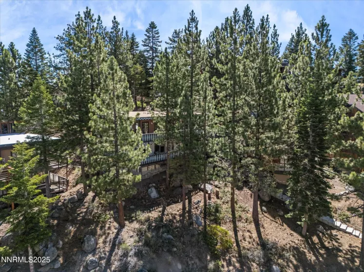 259 Tramway, Stateline, Nevada 89449, 2 Bedrooms Bedrooms, ,1 BathroomBathrooms,Residential,Residential,Tramway,250054161