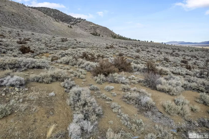 Lot 10 Hawkins Peak, Markleeville, California 96120, ,Land,Residential,Hawkins Peak,250001785