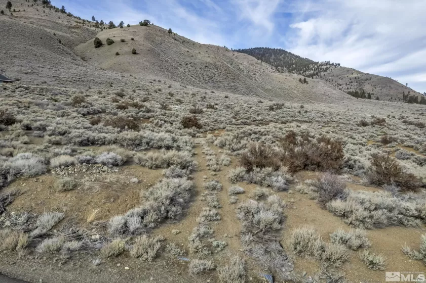 Lot 10 Hawkins Peak, Markleeville, California 96120, ,Land,Residential,Hawkins Peak,250001785