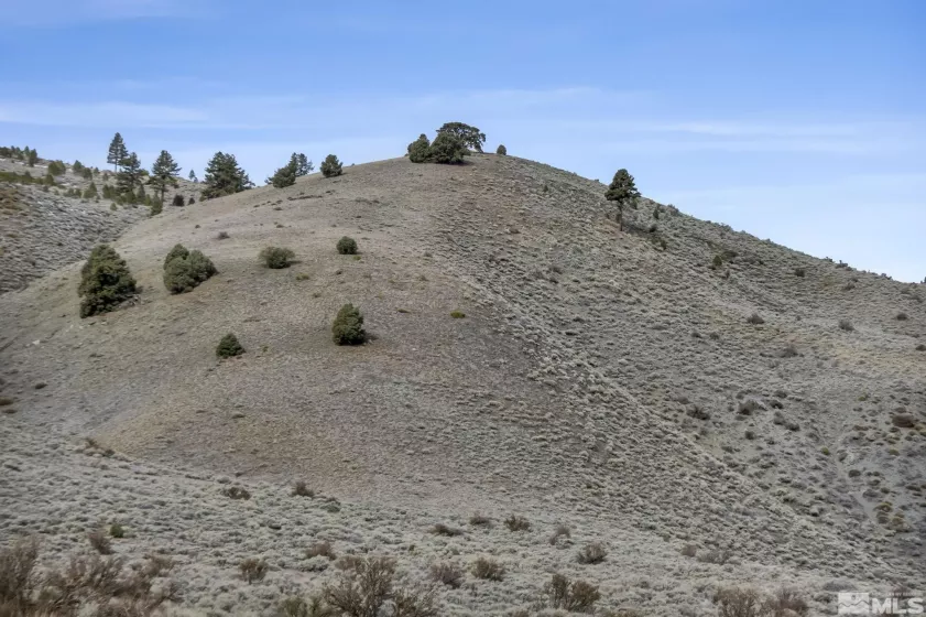 Lot 10 Hawkins Peak, Markleeville, California 96120, ,Land,Residential,Hawkins Peak,250001785